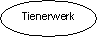 Ovaal: Tienerwerk