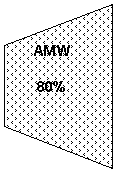 Trapezium: AMW
80%